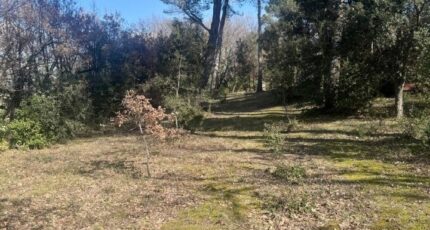 La Roque-d'Anthéron Maison neuve - 2329484-3263annonce32025032132MWc.jpeg Azur & Constructions