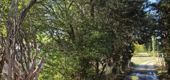 Terrain à bâtir à , Bouches-du-Rhône