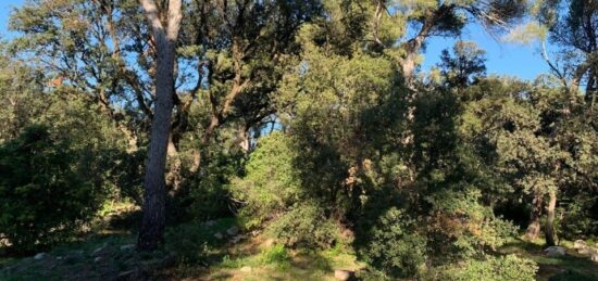 Terrain à bâtir à Martigues, Provence-Alpes-Côte d'Azur