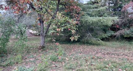 Saint-Rémy-de-Provence Terrain à bâtir - 2364714-3263annonce120250805xLHeJ.jpeg Azur & Constructions