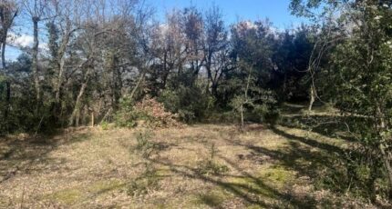 La Roque-d'Anthéron Maison neuve - 2364728-3263annonce220250321Cv1Aw.jpeg Azur & Constructions