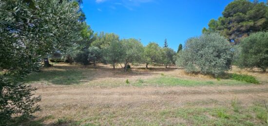 Terrain à bâtir à , Bouches-du-Rhône