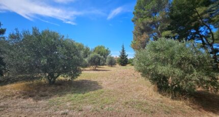 Saint-Chamas Maison neuve - 2264011-10197annonce120250908z7lZu.jpeg Azur & Constructions