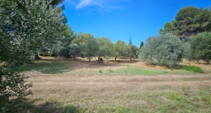 Saint-Chamas Maison neuve - 2264011-10197annonce220250908r4hnb.jpeg Azur & Constructions