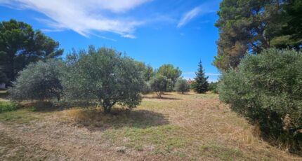 Saint-Chamas Maison neuve - 2264011-10197annonce520250908I1OlR.jpeg Azur & Constructions