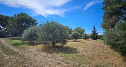 Saint-Chamas Maison neuve - 2263997-10197annonce120250908Gk94y.jpeg Azur & Constructions