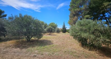 Saint-Chamas Maison neuve - 2263997-10197annonce32025090819eUo.jpeg Azur & Constructions