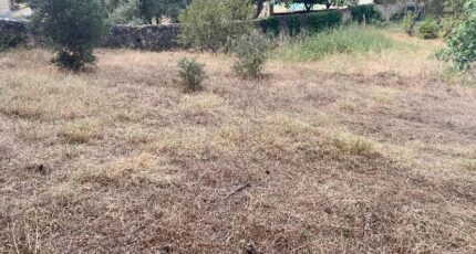 Allauch Terrain à bâtir - 2305428-3263annonce420241112zWEyM.jpeg Azur & Constructions