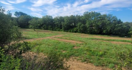 Port-de-Bouc Maison neuve - 2364707-3263annonce120240106mQ9rV.jpeg Azur & Constructions