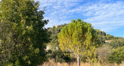 Rognes Terrain à bâtir - 2319549-3643annonce420251028TQ1OH.jpeg Azur & Constructions