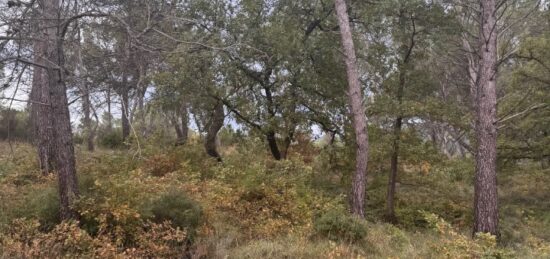 Terrain à bâtir à Fuveau, Provence-Alpes-Côte d'Azur