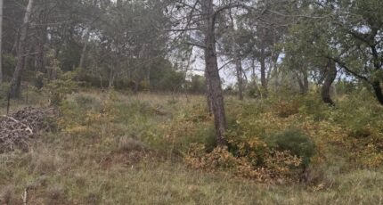 Fuveau Terrain à bâtir - 2314918-3263annonce120251023Q4ThT.jpeg Azur & Constructions