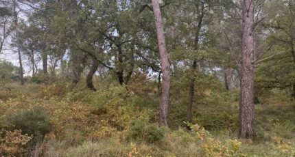 Fuveau Terrain à bâtir - 2314918-3263annonce220251023Eylqi.jpeg Azur & Constructions