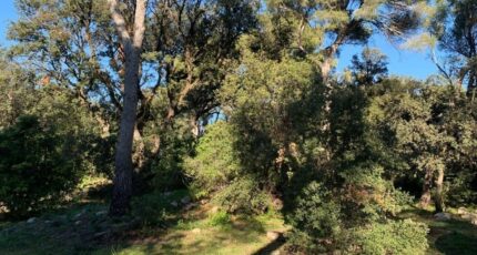 Martigues Terrain à bâtir - 2380291-3263annonce420250515xQgiU.jpeg Azur & Constructions