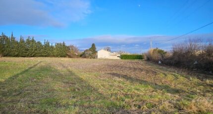 Sénas Terrain à bâtir - 2380339-3263annonce320250110A2O7v.jpeg Azur & Constructions