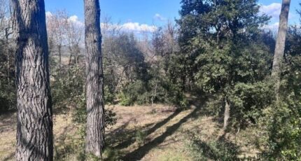 La Roque-d'Anthéron Maison neuve - 2329484-3263annonce420250321FmJzr.jpeg Azur & Constructions