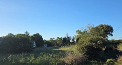 Istres Terrain à bâtir - 2384929-10197annonce420250911HchBD.jpeg Azur & Constructions