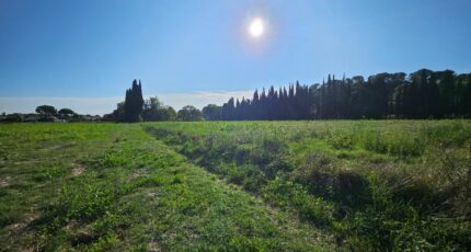 Saint-Étienne-du-Grès Maison neuve - 2384943-10197annonce120250911IRPfI.jpeg Azur & Constructions