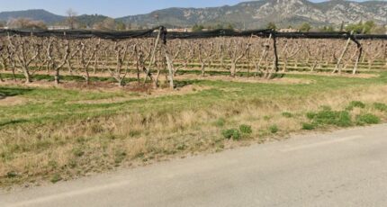 Volx Terrain à bâtir - 2390313-3643annonce320260113Rvfvn.jpeg Azur & Constructions