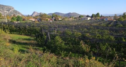 Volx Terrain à bâtir - 2390313-3643annonce420260113Etniw.jpeg Azur & Constructions