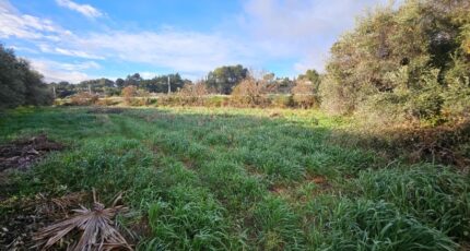 Roquevaire Terrain à bâtir - 2390386-10197annonce120260113EakqU.jpeg Azur & Constructions