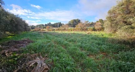 Roquevaire Maison neuve - 2390388-10197annonce220260113J7OIL.jpeg Azur & Constructions