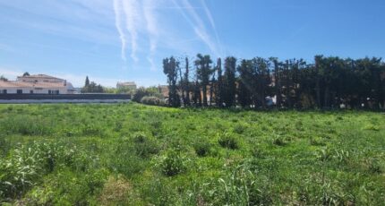 Sénas Maison neuve - 2406040-3263annonce520250930BTgQW.jpeg Azur & Constructions