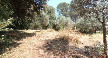 Pélissanne Terrain à bâtir - 2409354-3263annonce120260127vnWcA.jpeg Azur & Constructions