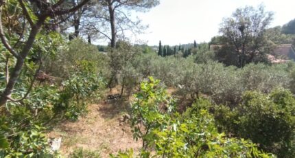 Pélissanne Terrain à bâtir - 2409354-3263annonce220260127rpLvu.jpeg Azur & Constructions