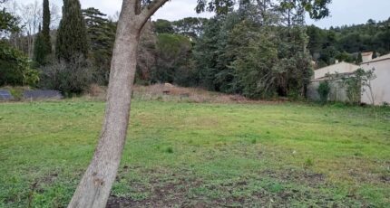 Saint-Chamas Maison neuve - 2369593-10197annonce420250826EHLLc.jpeg Azur & Constructions