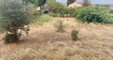 Allauch Maison neuve - 2420405-3263annonce520241112UEhid.jpeg Azur & Constructions