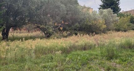 Saint-Mitre-les-Remparts Terrain à bâtir - 2342860-3263annonce220251119dQWO8.jpeg Azur & Constructions