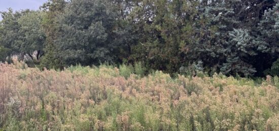 Terrain à bâtir à Saint-Mitre-les-Remparts, Provence-Alpes-Côte d'Azur