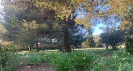 Saint-Chamas Terrain à bâtir - 2437150-3263annonce320250312pdHCG.jpeg Azur & Constructions