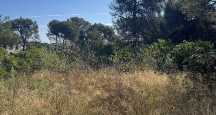 Aix-en-Provence Maison neuve - 2437147-3263annonce120251103vxEb6.jpeg Azur & Constructions