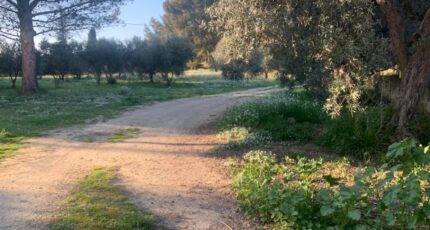 Saint-Chamas Maison neuve - 2437151-3263annonce120250312Ipnt4.jpeg Azur & Constructions