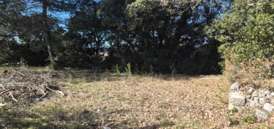 Terrain à bâtir à La Bastide-des-Jourdans, Provence-Alpes-Côte d'Azur