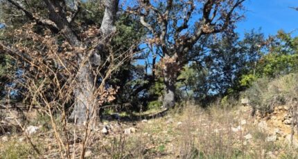 La Bastide-des-Jourdans Maison neuve - 2441921-11320annonce220260226cHJE9.jpeg Azur & Constructions