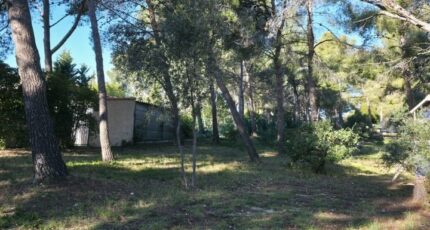 Sausset-les-Pins Terrain à bâtir - 2355175-3263annonce120251203AZixH.jpeg Azur & Constructions