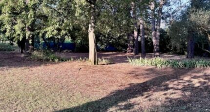 Saint-Rémy-de-Provence Terrain à bâtir - 2380364-3263annonce120250430Z0cO7.jpeg Azur & Constructions