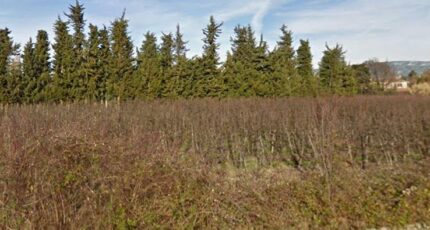 Sénas Terrain à bâtir - 2387866-3643annonce22025011629R9W.jpeg Azur & Constructions