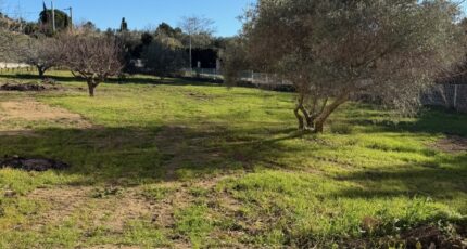 Istres Terrain à bâtir - 2417140-3263annonce520260203I3ZZq.jpeg Azur & Constructions