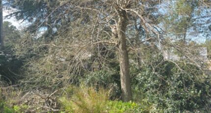 Marignane Terrain à bâtir - 2440349-11369annonce220260225rUBuU.jpeg Azur & Constructions