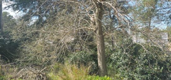 Terrain à bâtir à , Bouches-du-Rhône