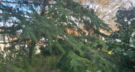 Marignane Maison neuve - 2440358-11369annonce120260225nhwun.jpeg Azur & Constructions