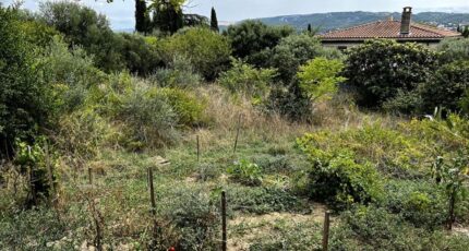 Saint-Mitre-les-Remparts Terrain à bâtir - 2412862-3263annonce120251009C3IxF.jpeg Azur & Constructions