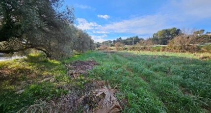 Roquevaire Terrain à bâtir - 2390386-10197annonce420260113knvTs.jpeg Azur & Constructions