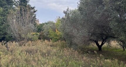 Saint-Mitre-les-Remparts Maison neuve - 2452803-3263annonce420251119PKJPs.jpeg Azur & Constructions