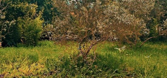 Terrain à bâtir à , Bouches-du-Rhône