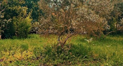 Marignane Maison neuve - 2457552-11369annonce2202603162yDtM.jpeg Azur & Constructions